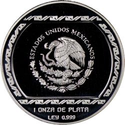 Central Veracruz image 14