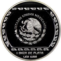 Central Veracruz image 7