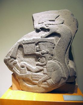 Sacerdote