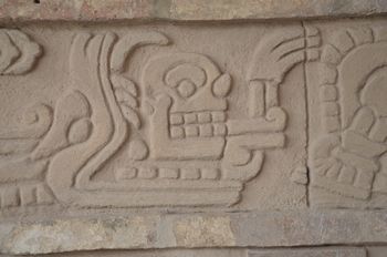 Serpiente con Craneo