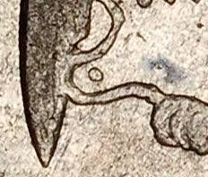 KM 377.6 1860 dot detail