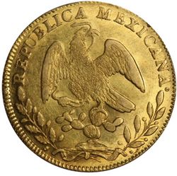 KM 383.6 8E GC MP reverse