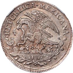 KM 376.5 reverse