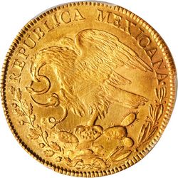 KM 382.2 1 reverse