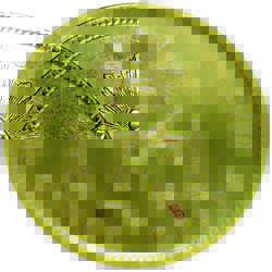 KM 412.1 1888