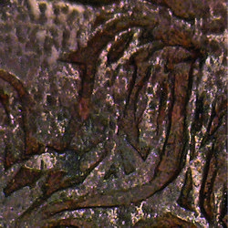 counterfeit Amecameca Image 05