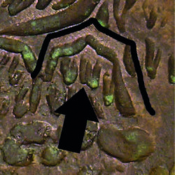 counterfeit Amecameca Image 08