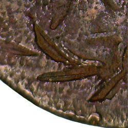counterfeit Amecameca Image 09