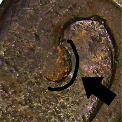counterfeit Amecameca Image 13