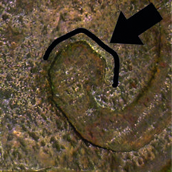 counterfeit Amecameca Image 15