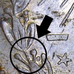 Taxco counterfeit 50c Image 18