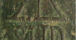 Keech SUD image 39